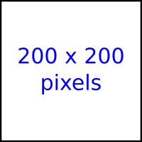 Papel de Parede Tropical